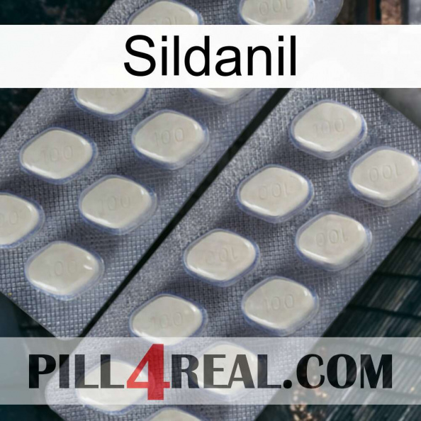 Sildanil 07.jpg
